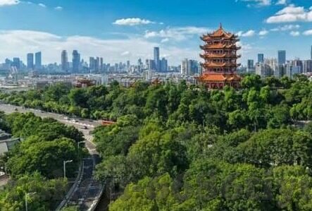 2019足球欧锦赛比分-2019足球欧锦赛，比分背后的激情与荣耀，重温那些热血沸腾的瞬间