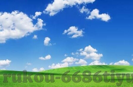 乐鱼体育属于什么-乐鱼体育——现代娱乐与竞技的桥梁
