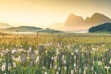 美国职业足球比分直播-美国职业足球比分直播，实时追踪绿茵场风云，点燃全球球迷激情