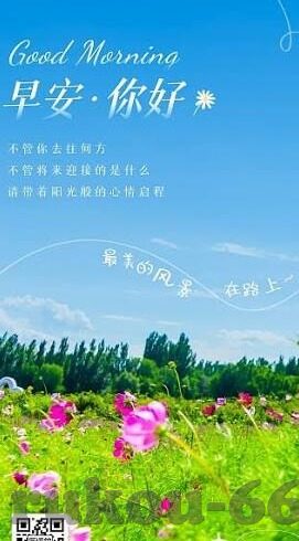 足球欧赔分析比分-足球欧赔解码，精准比分预测的艺术与科学